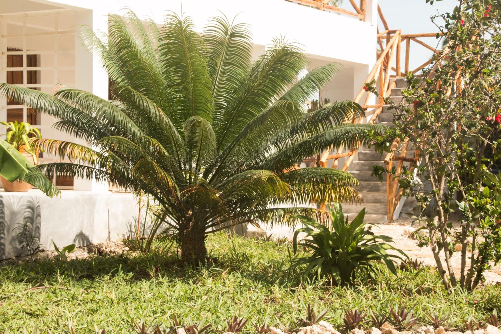 Villa Kiota Paje Ngoại thất bức ảnh